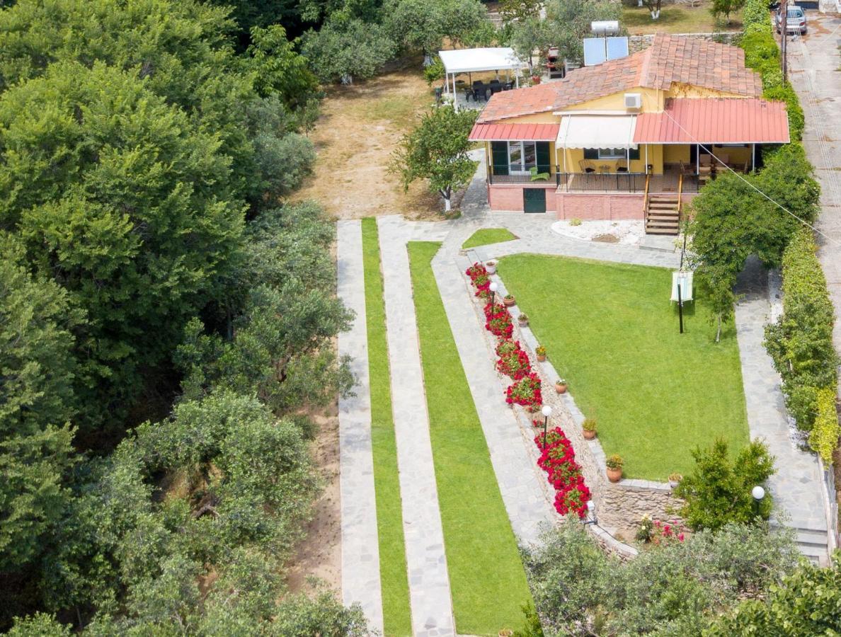 فيلا Xenophon House PalaiónTsiflíkion المظهر الخارجي الصورة