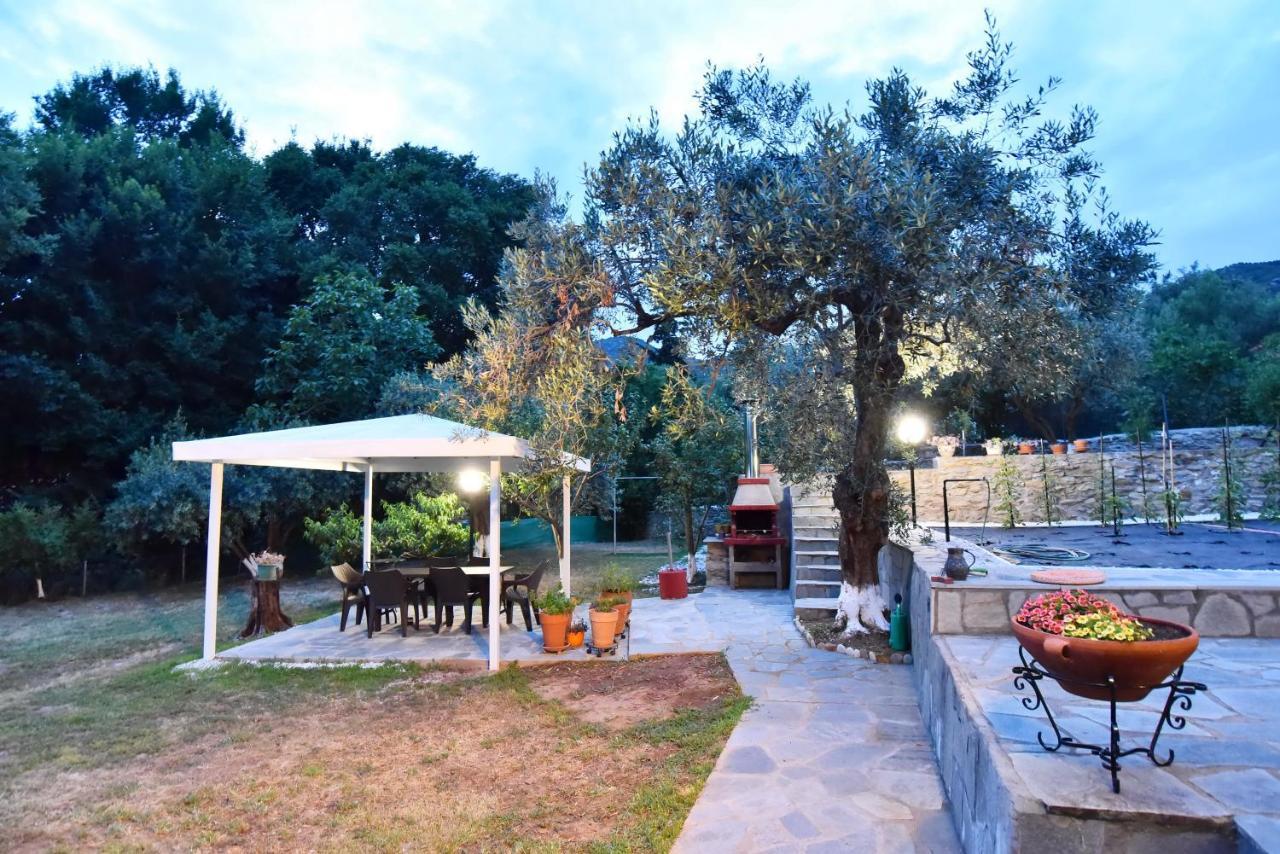 فيلا Xenophon House PalaiónTsiflíkion المظهر الخارجي الصورة